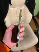 iPhone 12 Pro Max 256 GB Argento