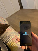 iPhone 6 16 GB Argento