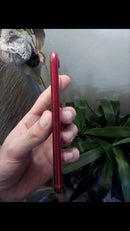 iPhone SE 2020 64 GB Product Red