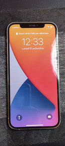 iPhone 12 Pro 256 GB Argento