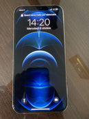iPhone 12 Pro Max 256 GB Argento