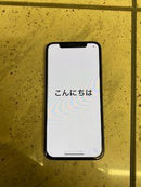 iPhone XS 256 GB Argento