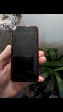 iPhone SE 2020 64 GB Product Red