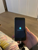 iPhone 6 16 GB Argento