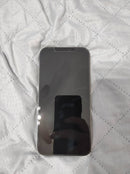 iPhone 12 Pro Max 256 GB Grafite