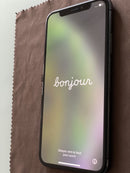 iPhone XS 256 GB Grigio Siderale