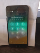 iPhone 6 32 GB Grigio Siderale