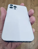 iPhone 12 Pro 256 GB Argento