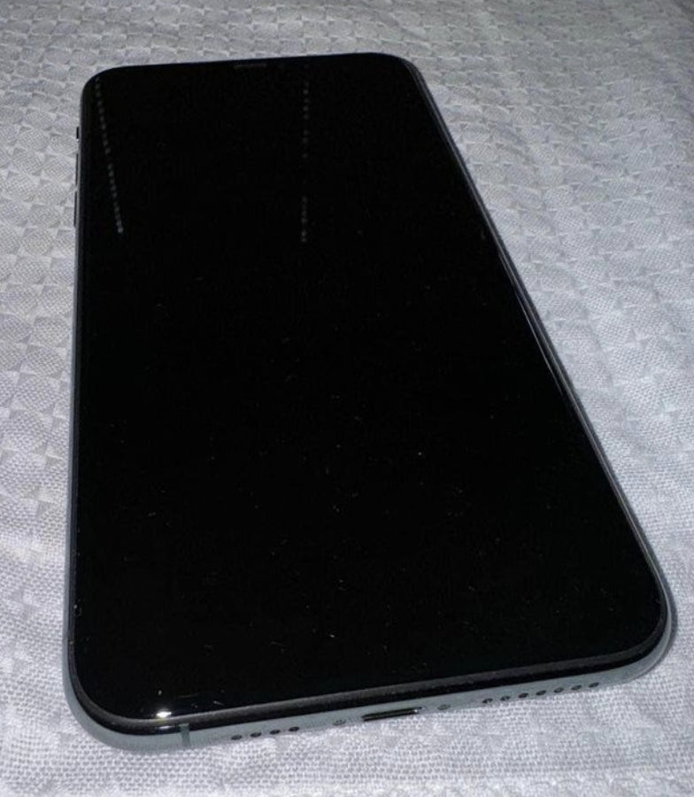 iPhone 11 Pro Max 256 GB Grigio Siderale